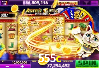 Sistemas de Segurança 555c